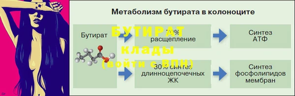 индика Белоозёрский